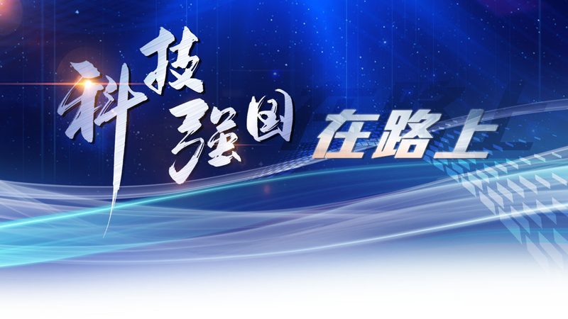 企业数据治理平台：定制开发的必要性与关键考量